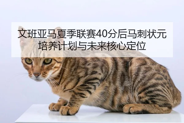 wen-ban-ya-ma-xia-ji-lian-sai-fen-hou-ma-ci-zhuang-yuan-pei-yang-ji-hua-yu-wei-lai-he-xin-ding-wei-3-808.jpg